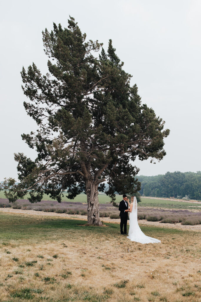 wedding, Idaho, photographer, Idaho wedding venue, Idaho wedding photographer, Boise Idaho photographer, Eagle Idaho wedding, Boise wedding venue, Treasure Valley wedding, Idaho event venue, natural light photographer, romantic wedding photographer, outdoor wedding venue, romantic bridal portraits, elegant wedding inspiration, soft wedding color palette, wedding ceremony arch, wedding day details, bride and groom portraits, walk down the aisle, wedding floral design, spring wedding inspiration, summer wedding ideas, fall wedding color palette